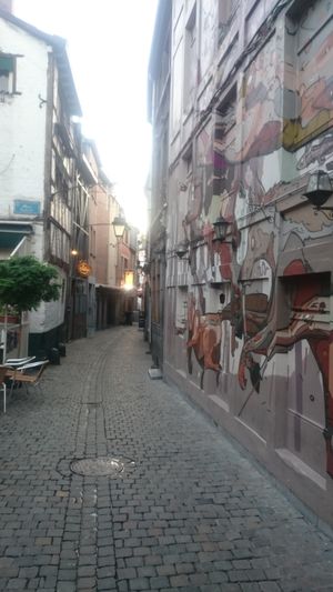 Small street at Les Oiseaux s'entetent in Liege