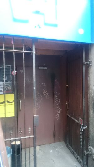 Entry door at Les Oiseaux s'entetent in Liege