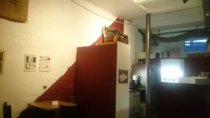 Inside at Les Oiseaux s'entetent in Liege