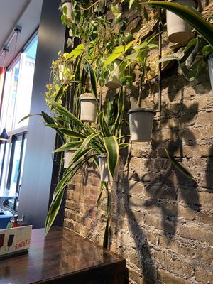   at Urbanbelly in Chicago