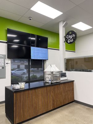 veg’n out! (widely sold out by mid afternoon)   at San Diego Vegan Market in San Diego