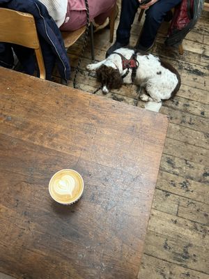 very dog friendly  #Veganuary at Steampunk in North Berwick