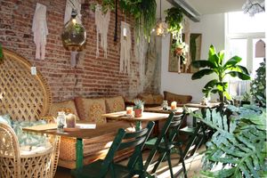 Part of oerwoud at Oerwoud in Den Bosch