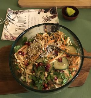 Pad Thai Salade at Oerwoud in Den Bosch