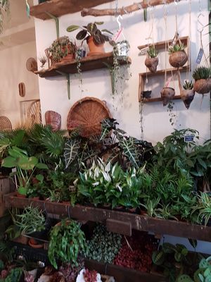 inside at Oerwoud in Den Bosch