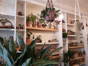 interior at Oerwoud in Den Bosch