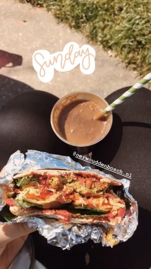 Pita falafel and chocolate smoothie at Oerwoud in Den Bosch