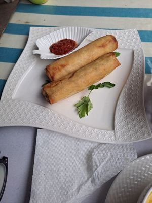 Vegan veg roll at Sofia in Chefchaouen