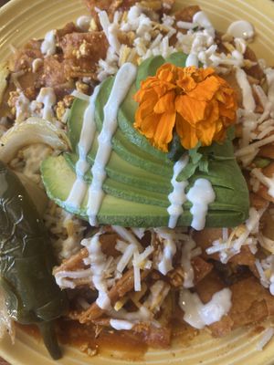   at The Grain Cafe in Long Beach