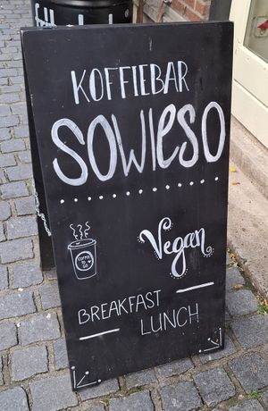 All vegan at Koffiebar Sowieso in Breda