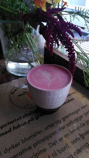  at Cafe Kosmos in Odense