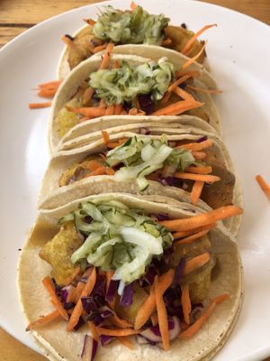   at El Vegano in Guadalajara