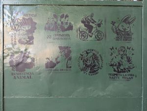 Vibe at El Vegano in Guadalajara