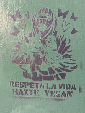 Vibe at El Vegano in Guadalajara