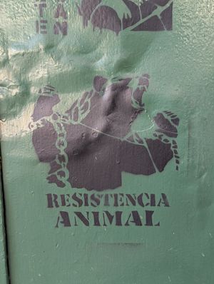 Vibe at El Vegano in Guadalajara