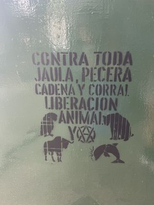   at El Vegano in Guadalajara