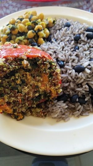 Quinoa stuffed pepper, rice and black beans, and chickpeas and spinach at La Empanada Llama in Albany