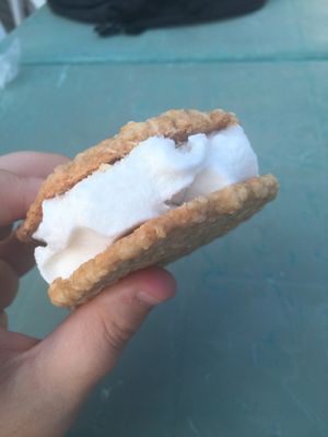Vegan coconut lime ice cream sandwich. Only available from crazy golf atm! at Beach Treats in Huacas
