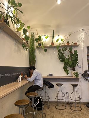 Beautiful plant space   at Sandokan Vegan Bistro in Prague