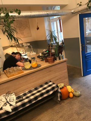 Best vegan food in town at Sandokan Vegan Bistro in Prague