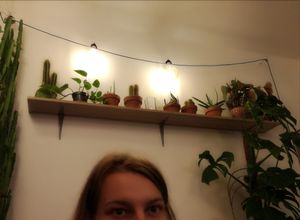 Nice inside at Sandokan Vegan Bistro in Prague