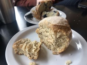 GF and vegan muffins...poppy seed and mixed berry at Hot Java Cafe in Bremerton