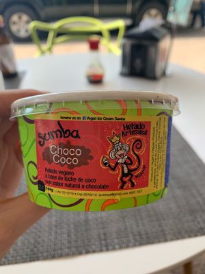 Chocolate coconut ice cream  at Sunrice in Quepos