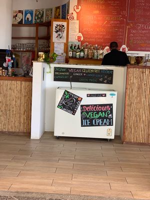 Vegan ice cream case!  at Sunrice in Quepos