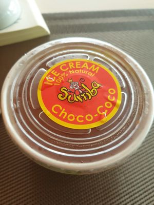 Vegan chocolate ice cream at Sunrice in Quepos