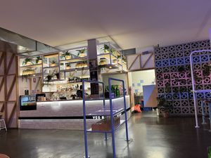 Interior-counter   at Veg Bar in North Hobart