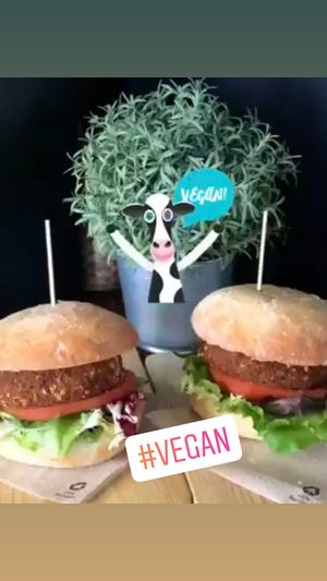  at No T'ho Perdis in Tossa De Mar