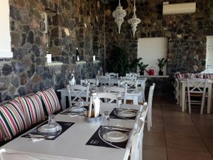Comfy seating area with variety of herbs planted at the window seating area at Aroma Avlis in Santorini