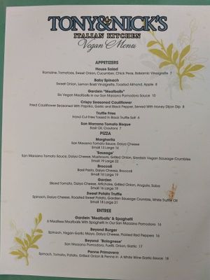 Their vegan menu at Tony and Nick's Italian Kitchen in Ellenville