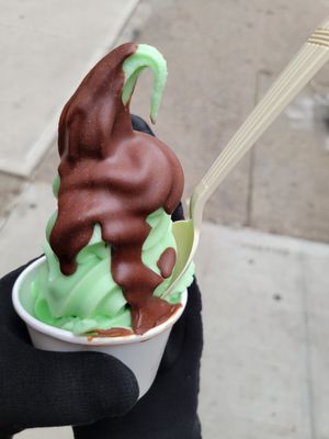 Mint flavor.  Ask for the chocolate shell!! at Orchard Grocer in New York City