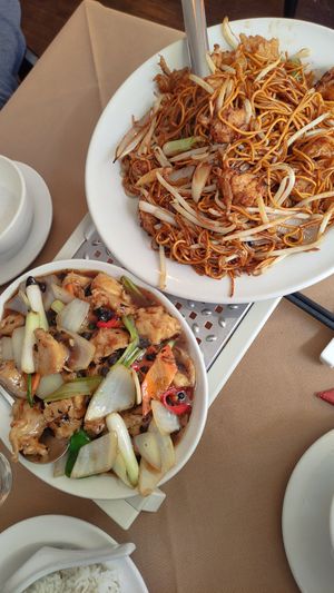 Mains with vegan chicken at Singapore Restaurant - Friar St in Worcester