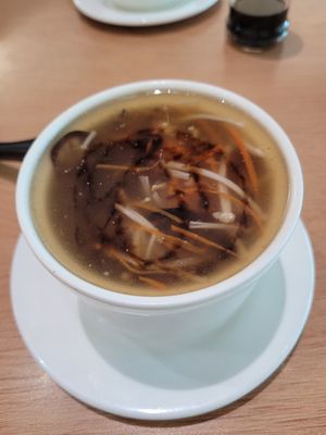 Vegan shark fin soup (basically just mushroom fungus vinegar soup) at Nature Vegan  in Klang