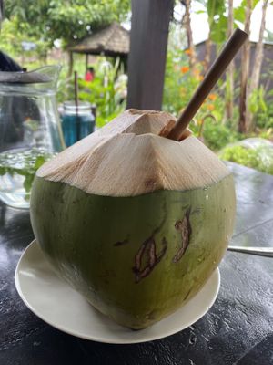   at The Organic Farm Bali in Tabanan