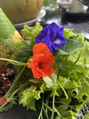   at The Organic Farm Bali in Tabanan