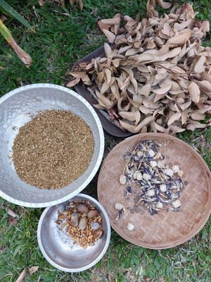 Farm at The Organic Farm Bali in Tabanan