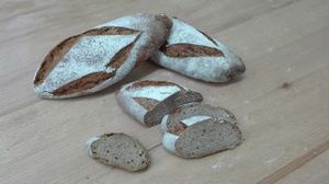 Rye wild yeast sourdough bread. at Fill Good in Budapest