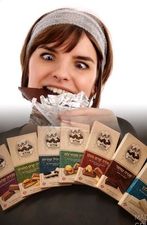 vegan chocolates  at Veggies Bar in Jerusalem