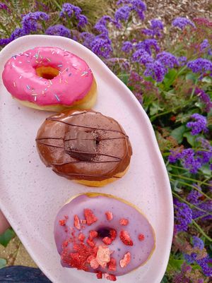 100% Vegan Donuts! at Cakeboy Donuts - Pop-up in Bowden