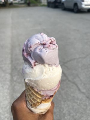 Vegan vanilla bean and vegan blackberry   at BRICS in Indianapolis