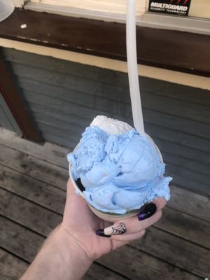 Vegan ice cream!  at BRICS in Indianapolis