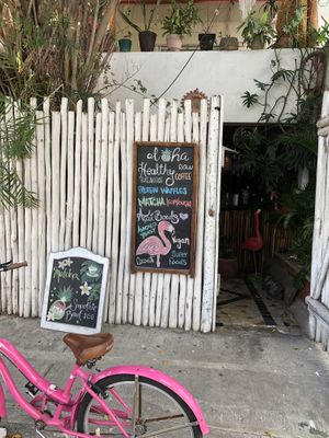 Cute place at Aloha Raw Bar in Playa Del Carmen