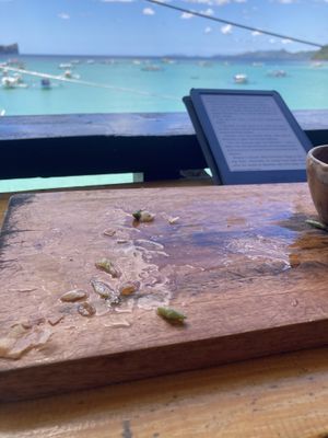 Grease left over from spring rolls   at Seed Dreams in El Nido