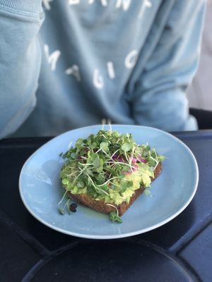 Avocado toast  at Wild Island in Orcas Island