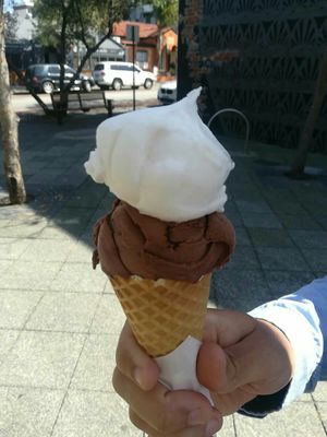 Chocolate citron at Gelato 101 Vegan Artisan in Northbridge