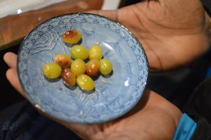 Ginkgo nuts roasted in the fire at Koshinzuka in Nagano