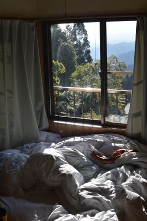 View in the morning at Shukobo Komadori-sanso in Mitake